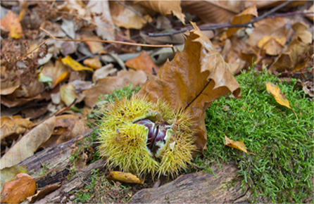 免费ddos压力测试平台